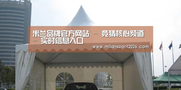 案例标题八
