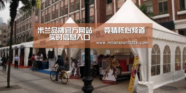 案例标题九