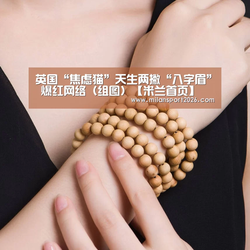 英国“焦虑猫”天生两撇“八字眉” 爆红网络(组图)【米兰首页】(图2) 米兰赛事