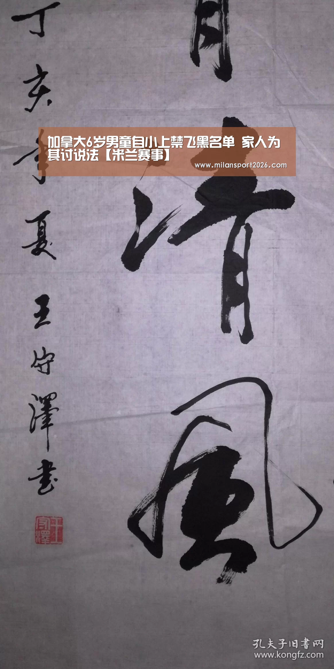加拿大6岁男童自小上禁飞黑名单 家人为其讨说法【米兰赛事】(图2) 米兰赛事