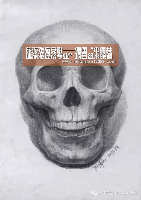 旅游难忘安徽——德国“中德共建旅游经济专业”项目组来皖调研-米兰首页(图1) 米兰首页